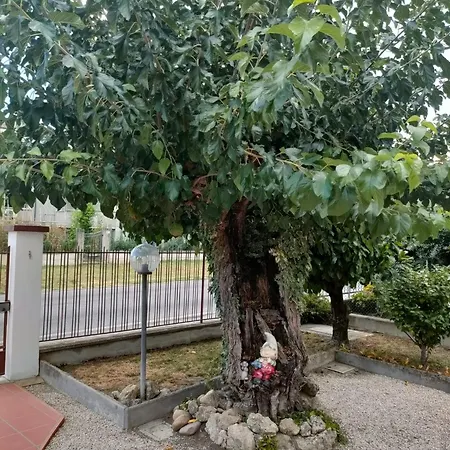 Il Giardino Di Sophie