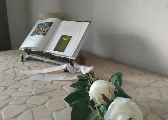 Il Giardino Di Sophie