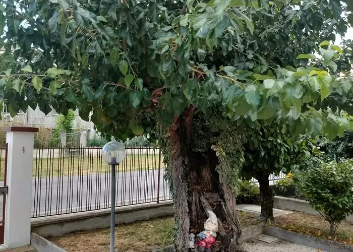 Il Giardino Di Sophie
